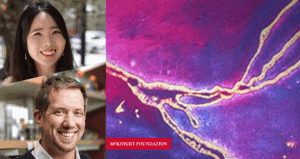 David Shechner selected for McKnight Foundation 2025 Neurobiology of Brain Disorders Award